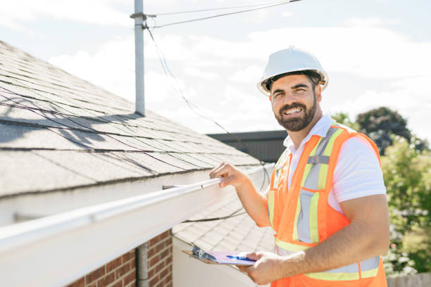 Best Roof Gutter Cleaning  in Stockton, IL