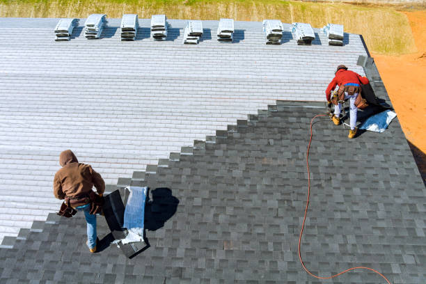 Best Residential Roofing Contractor  in Stockton, IL