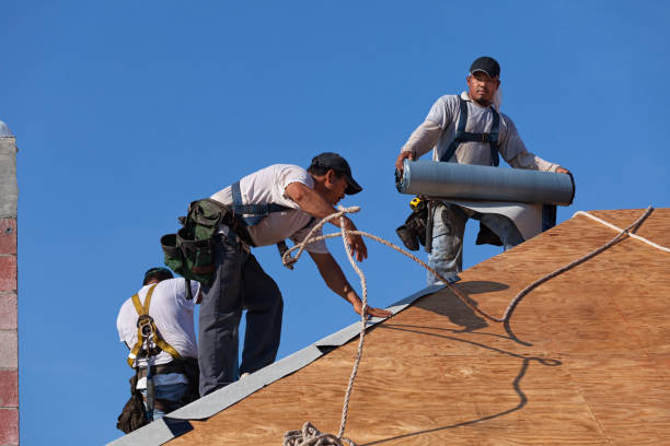 Best Affordable Roofing Company  in Stockton, IL