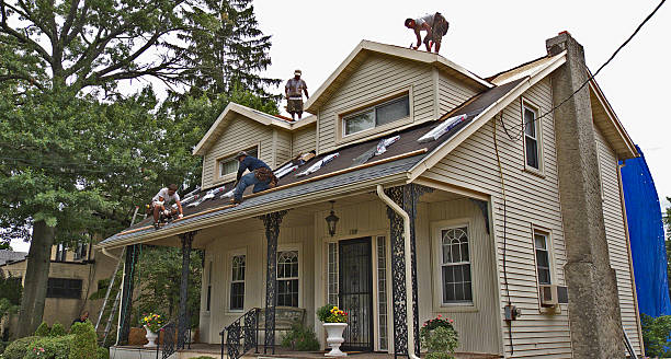 Best Gutter Installation and Roofing  in Stockton, IL