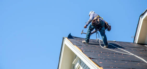 Best Commercial Roofing Services  in Stockton, IL